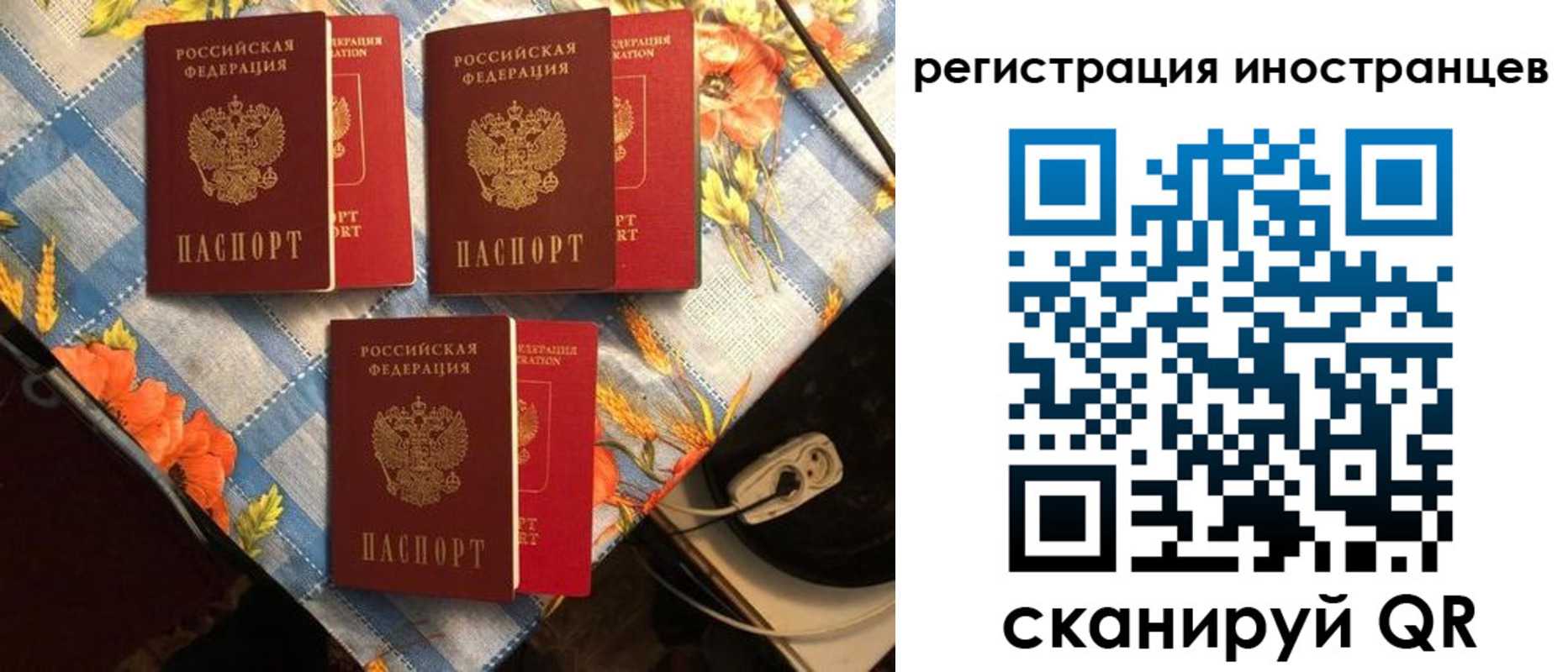 прописка поиск в Ростове
